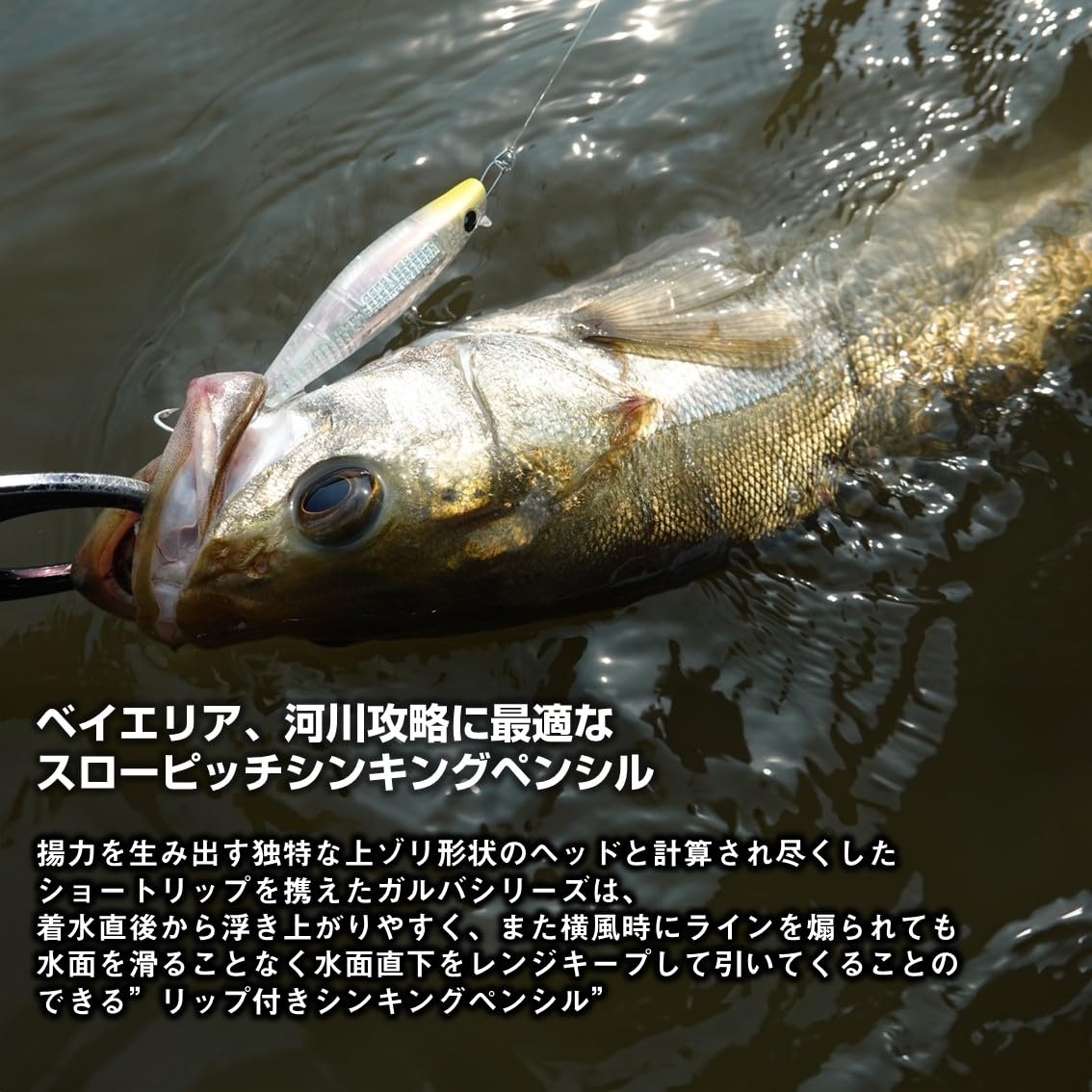 Amazon.co.jp: ダイワ(DAIWA) プラグ モアザン ガルバ73S－LI